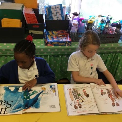 Reading for pleasure