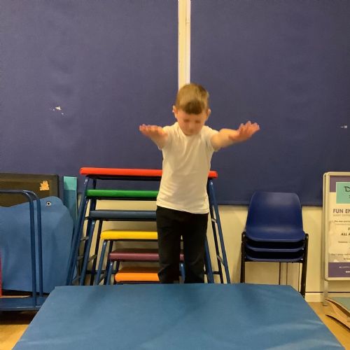 PE: gymnastics