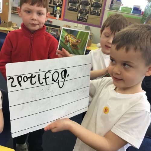 Spring Term 2