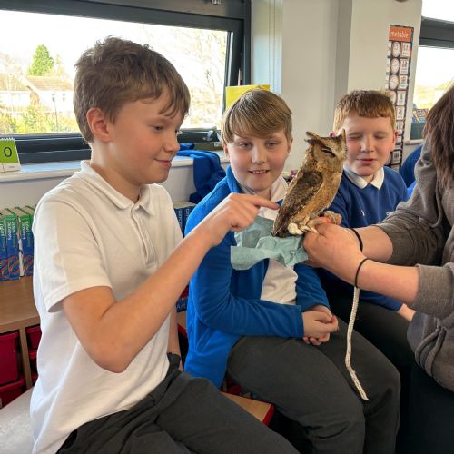 5RB Animal Visit