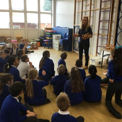British Science Week