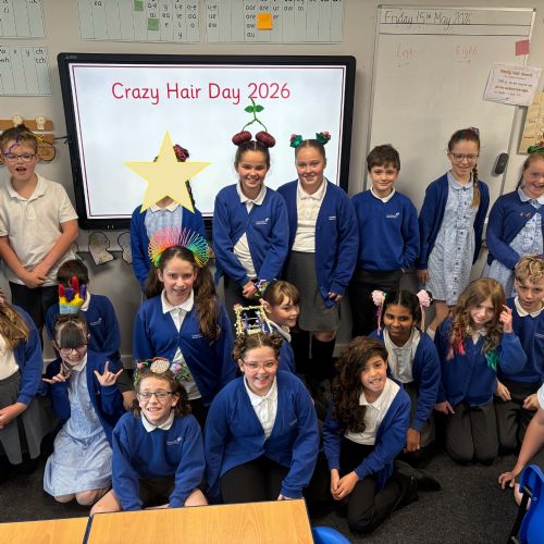 5RB Crazy Hair Day