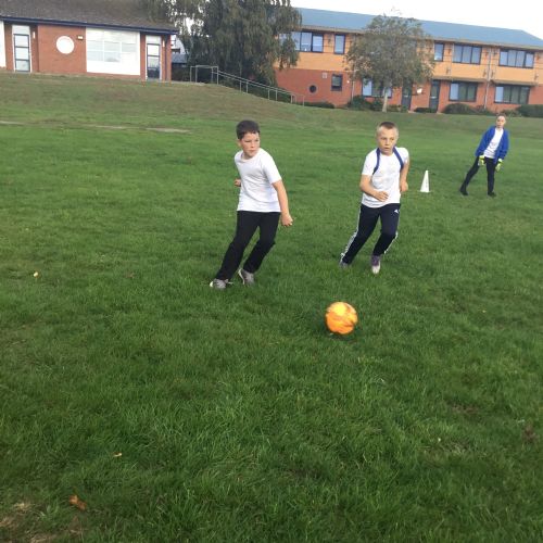 Harriers - Health Kick