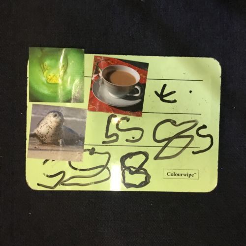 IMG1955