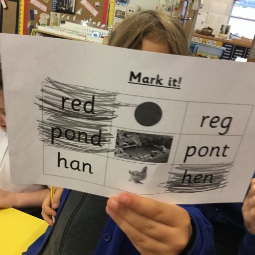 IMG36711)