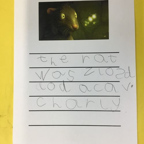 IMG38831)
