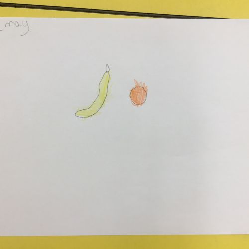 IMG3422