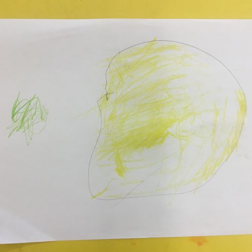 IMG3423