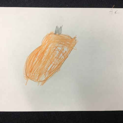 IMG3585