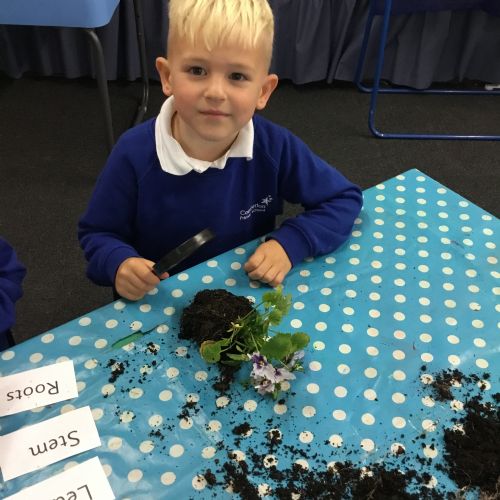 Science Learning