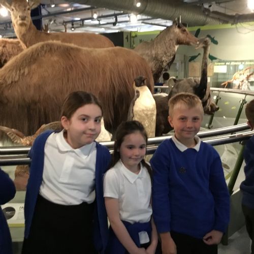 4RI - Think Tank Trip