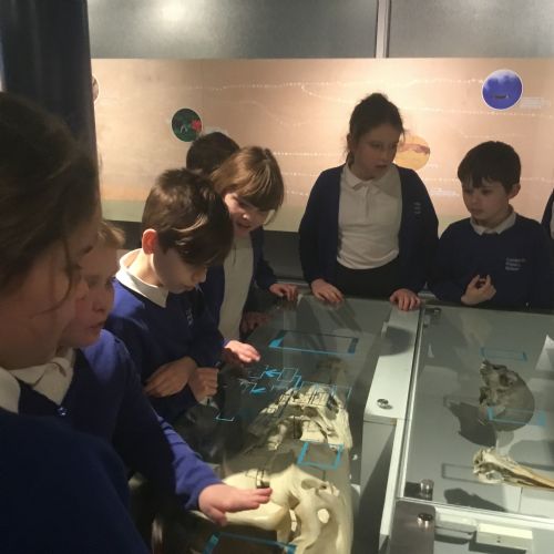 4JW Think Tank Trip