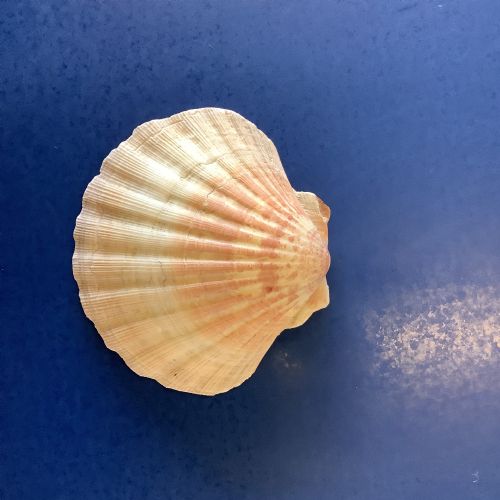 Art - Printing with carbon paper