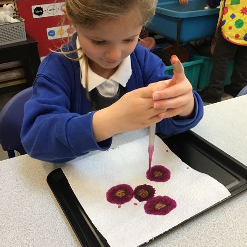 Run, run as fast as you can...