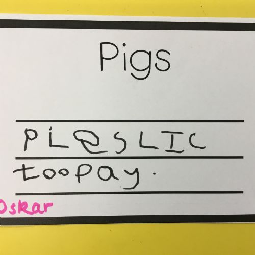 Week Beginning 19.01.26