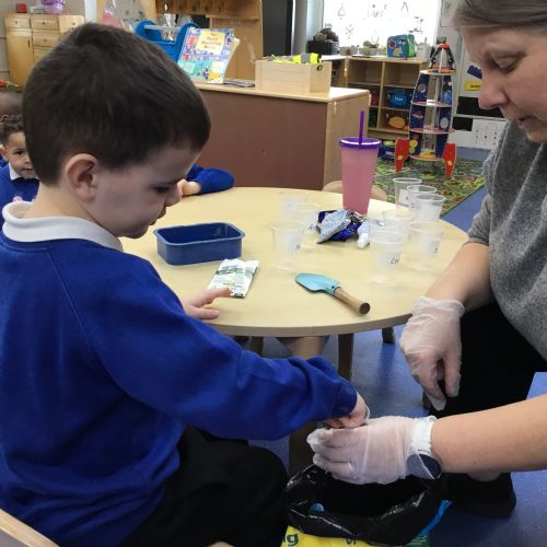 Planting a Sunflower