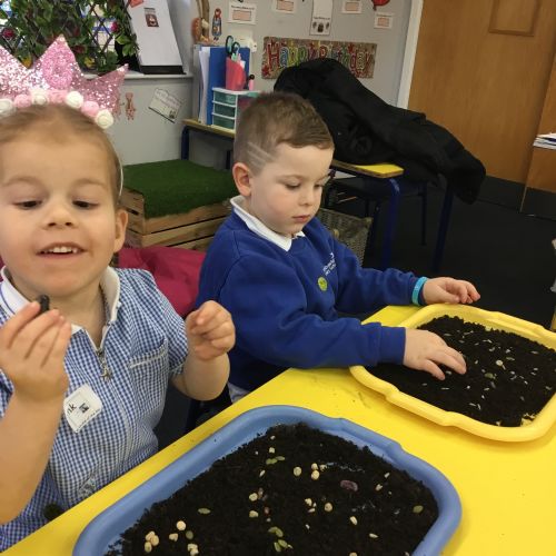 Jack and the Beanstalk