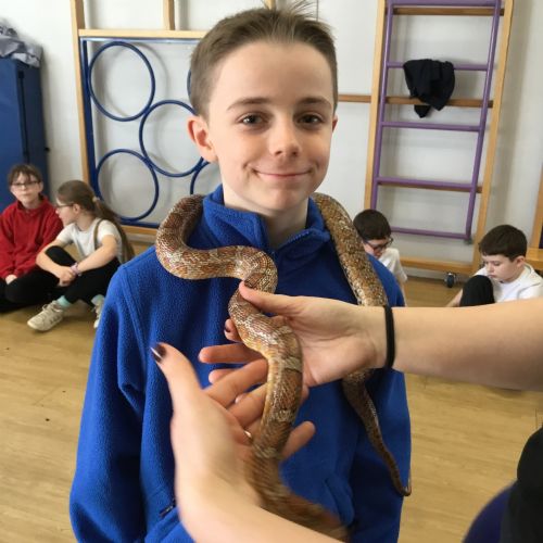 5HH The Animal Lady 2026