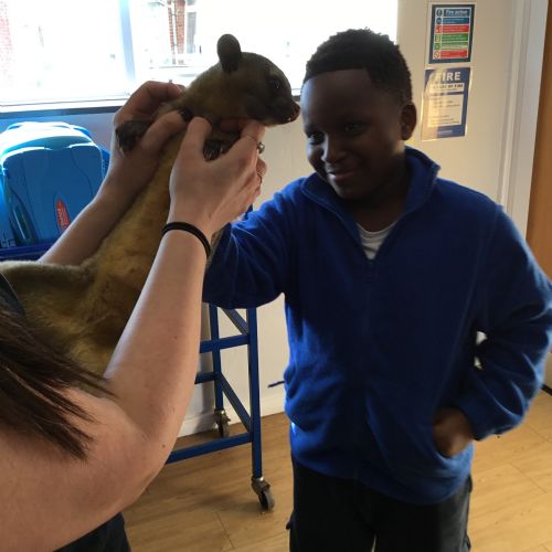 5RB The Animal Lady 2026