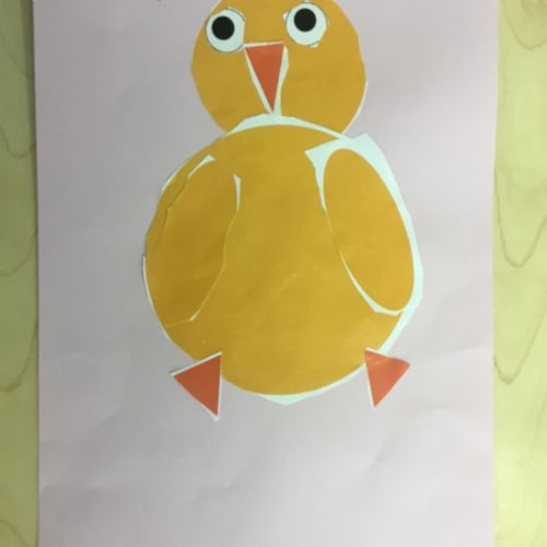 Chicks and Ducklings