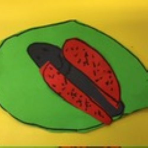 Ladybirds and Bumblebees