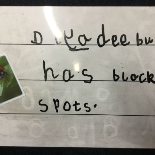 Week Beginning 16.03.26